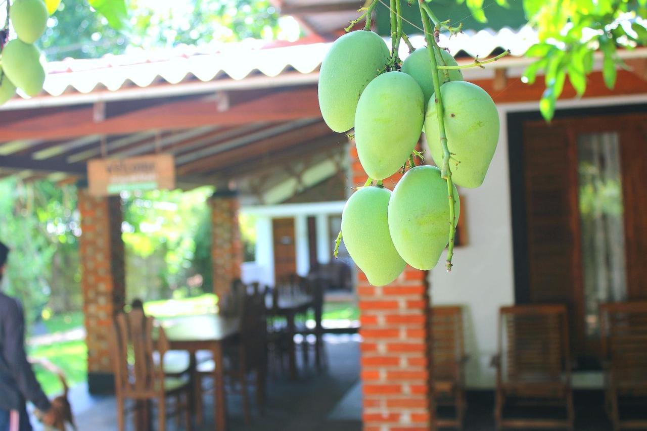 Green Cottage Holambra Exterior foto