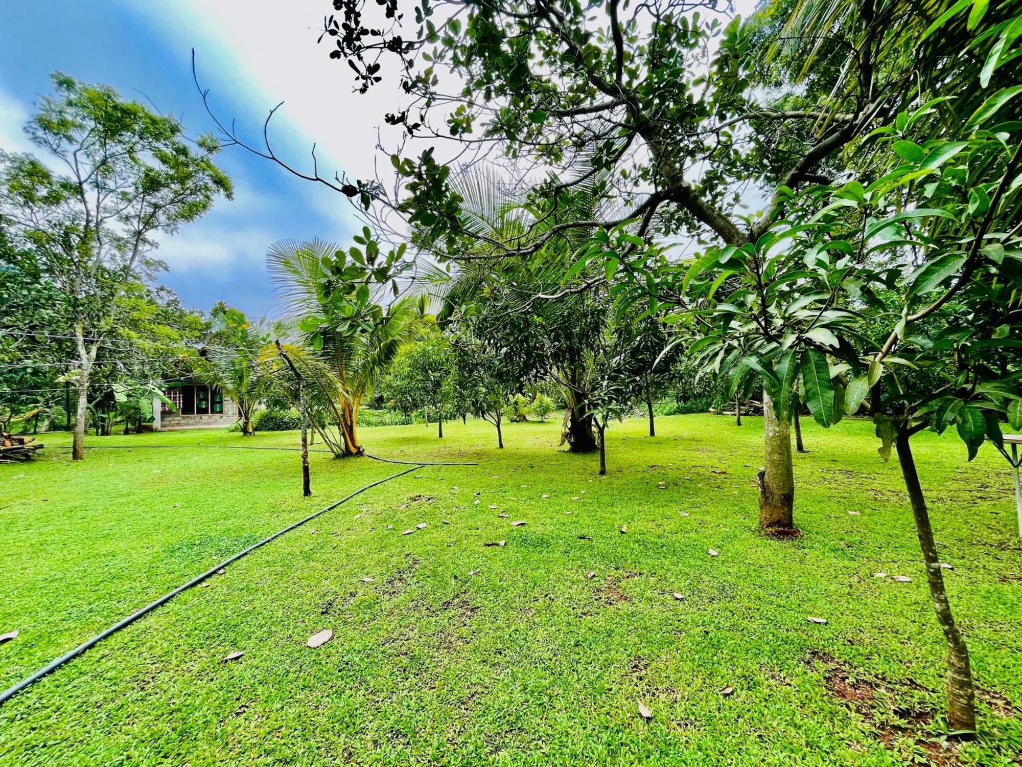 Green Cottage Holambra Exterior foto